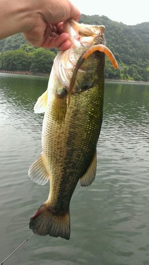 1403345798868.jpg