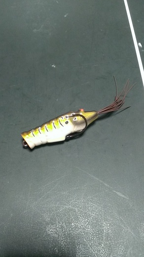 IMAG0022.jpg