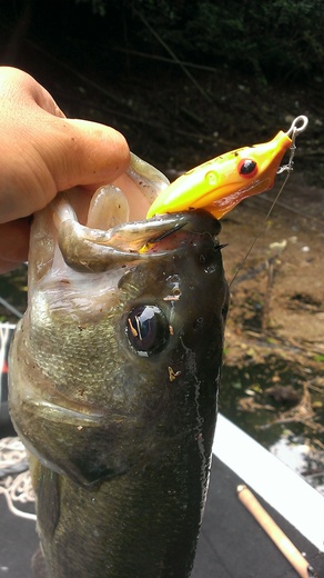 IMAG0027.jpg