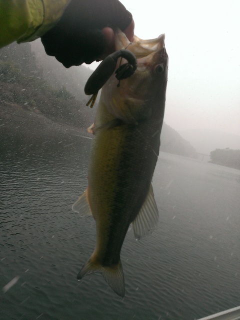 IMAG0110_BURST002.jpg
