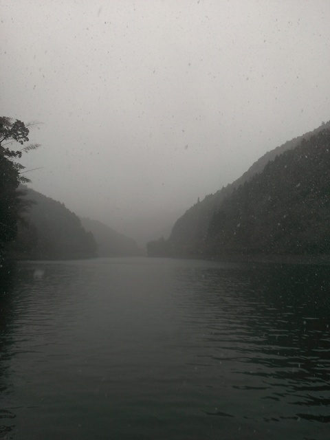 IMAG0111.jpg