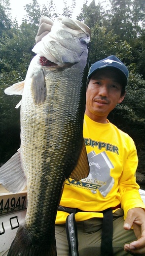 IMAG0220.jpg