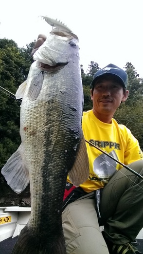 IMAG0227.jpg