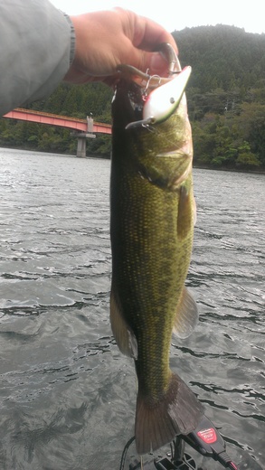 IMAG0270.jpg