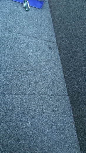 IMAG0335.jpg
