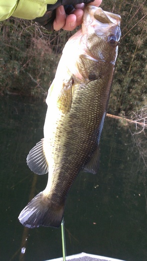 IMAG0347.jpg