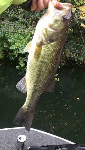 IMAG0349.jpg