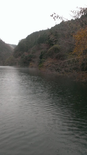 IMAG0370.jpg