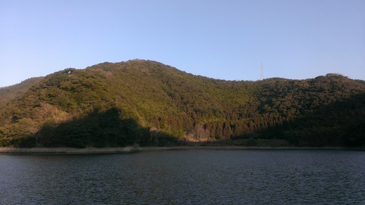 IMAG0505.jpg