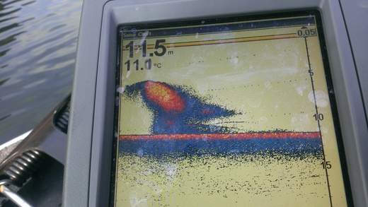 IMAG0524.jpg
