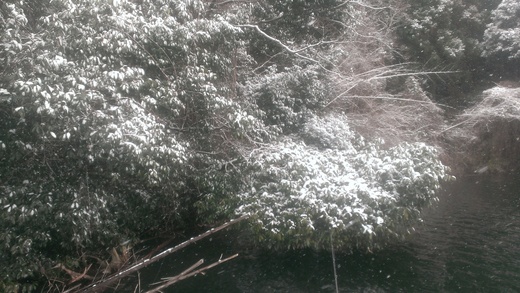 IMAG0590.jpg