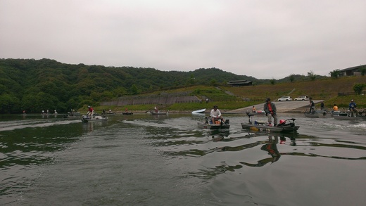 IMAG0832.jpg