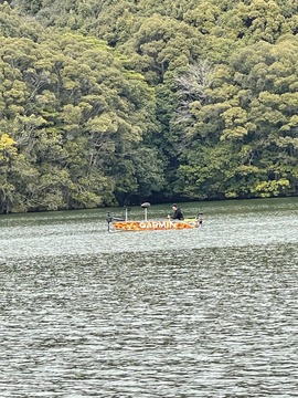 IMG_1060.jpeg