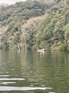 IMG_1063.jpeg