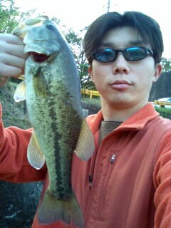 070412yamamoto.jpeg