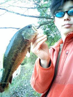 070414bass.jpeg