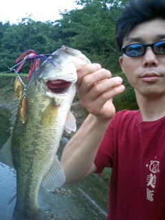 070714bass.jpeg