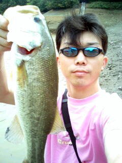 071008bass.jpeg